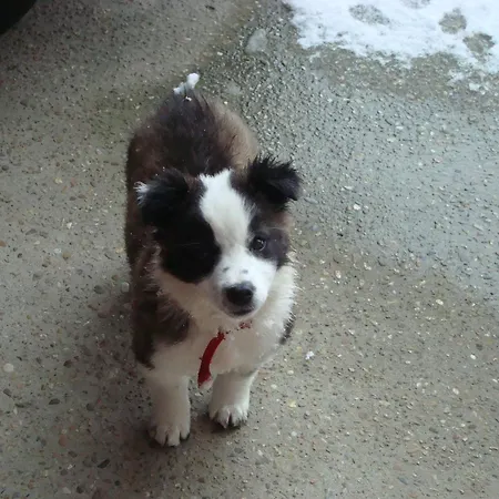 Al Mobile Antico 3* 카메라노 카사스코