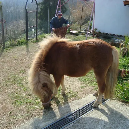 Al Mobile Antico B&B 카메라노 카사스코