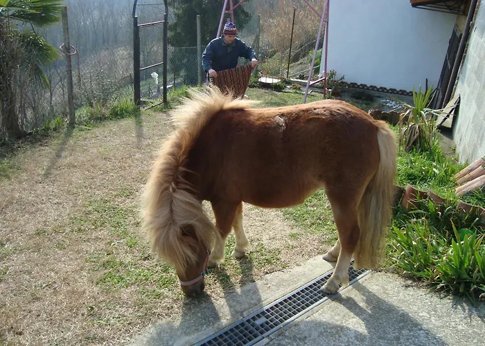 Al Mobile Antico Alojamento de Acomodação e Pequeno-almoço Camerano Casasco