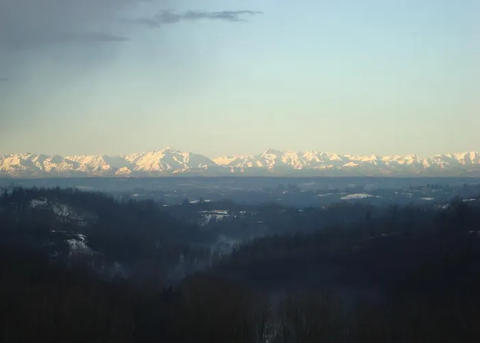 Al Mobile Antico Camerano Casasco